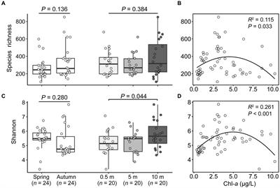 Spatiotemporal assembly and functional composition of planktonic microeukaryotic communities along productivity gradients in a subtropical lake